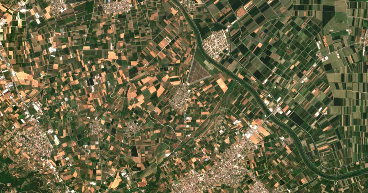 Carte satellite de Néa Lykógianni
