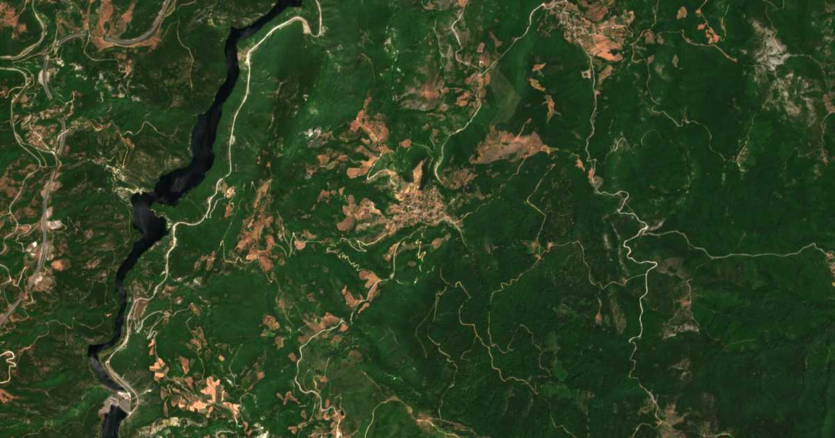 Carte satellite de Polýdendron