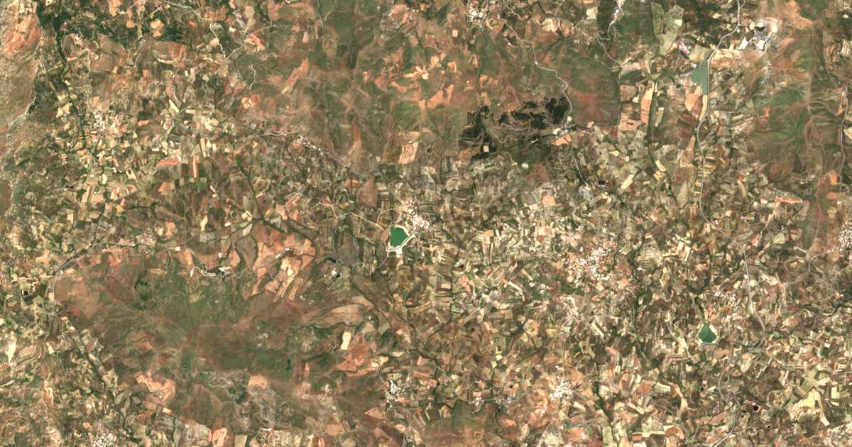 Carte satellite de Damánia