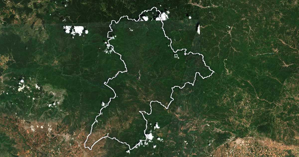 Image satellite avec la limite tracée: de Paranésti