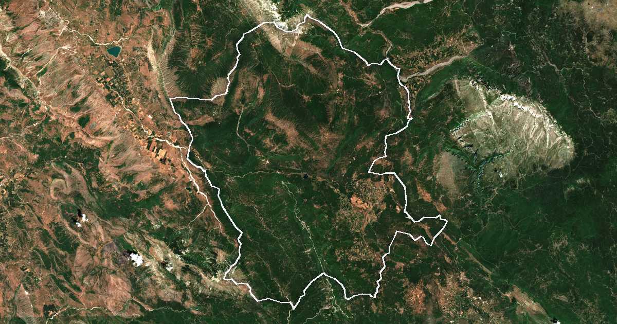Image satellite avec la limite tracée: Pogóni