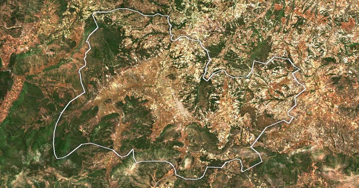 Image satellite avec la limite tracée: de Némée