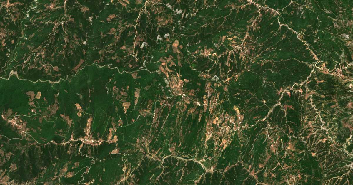 Carte satellite de Palaiá Floriáda