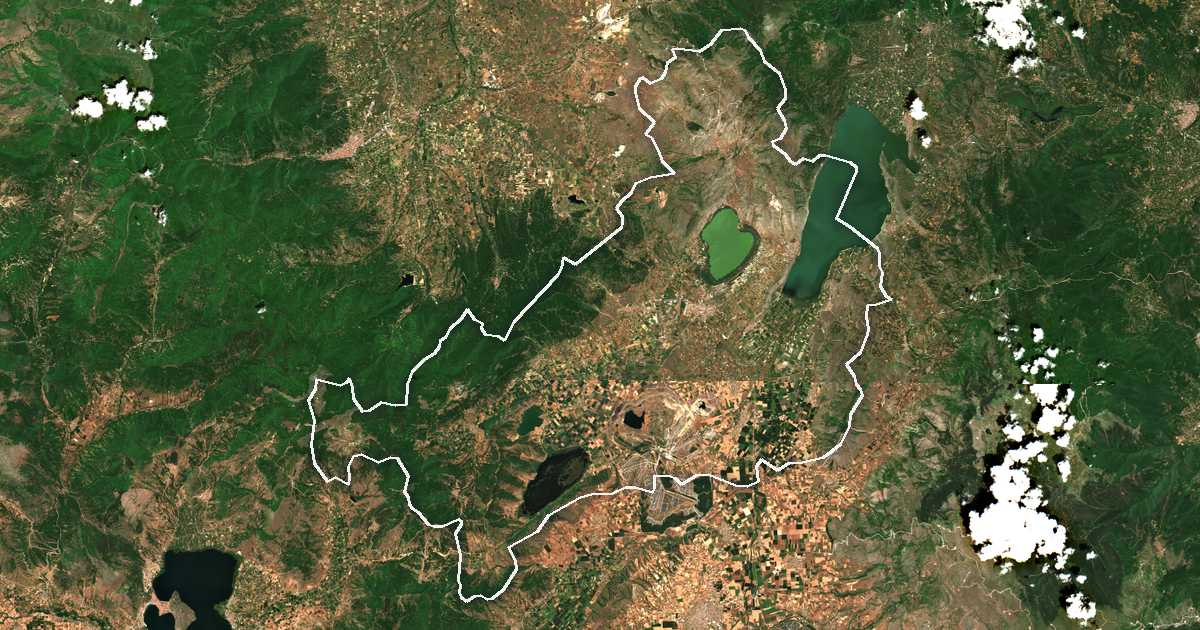 Image satellite avec la limite tracée: d'Amýnteo