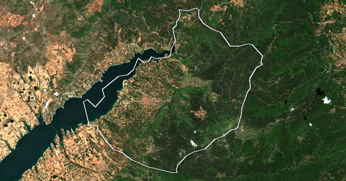 Image satellite avec la limite tracée: de Sérvia